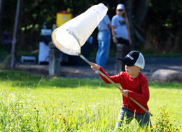 participant in BioBlitz