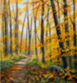 Natural Perspectives art at Senior Center