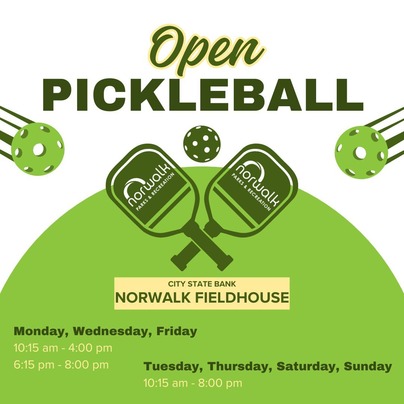 new pickleball