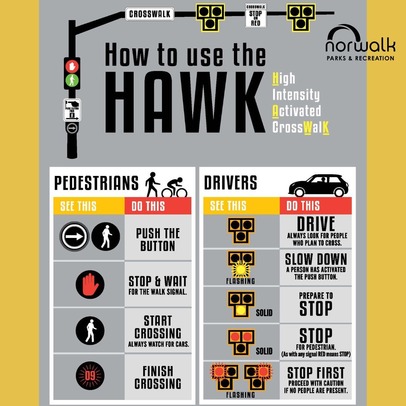 Hawk System
