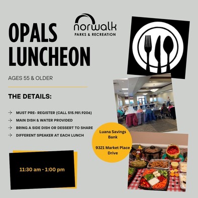opals lunch