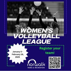 women's volleyball
