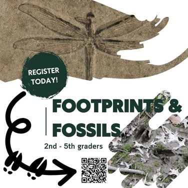 footprint and fossils