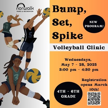 bump set spike\
