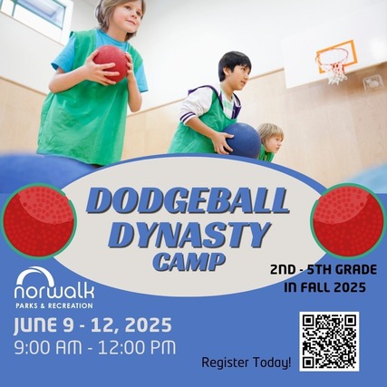 dodgeball dynasty
