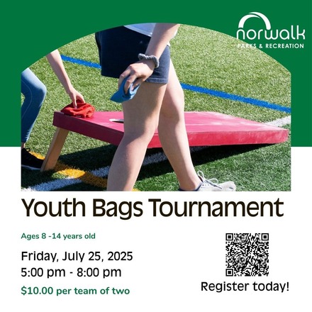 bags tourney