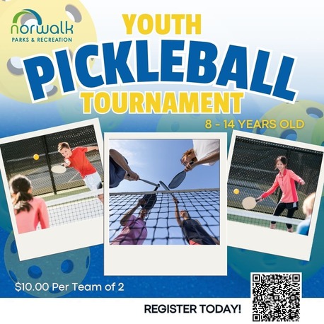 Pickleball
