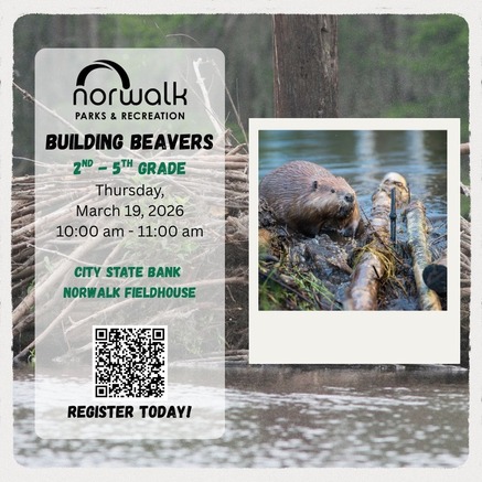 Beavers