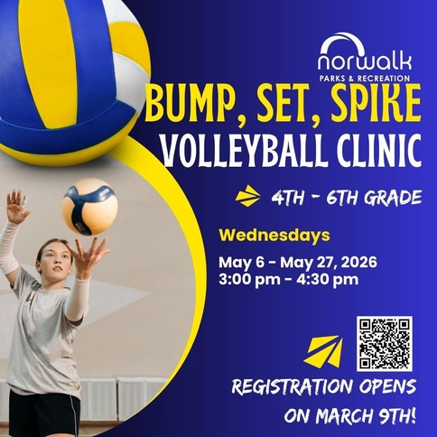 volleyball clinic