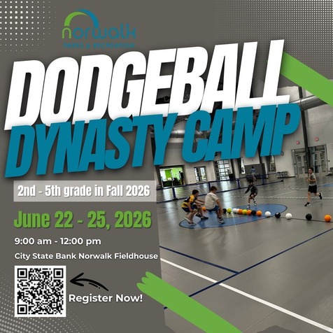 dodgeball