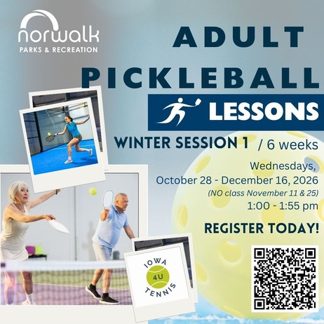 adult pickleball