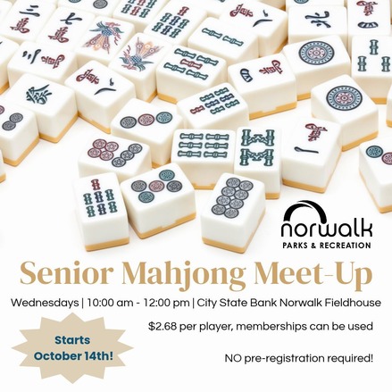 senior mahjong