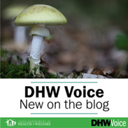 DHW Voice