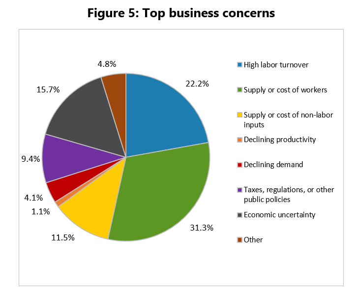 pie chart: top five business concerns