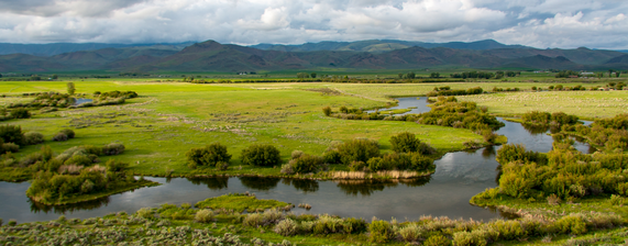 Spring Creek