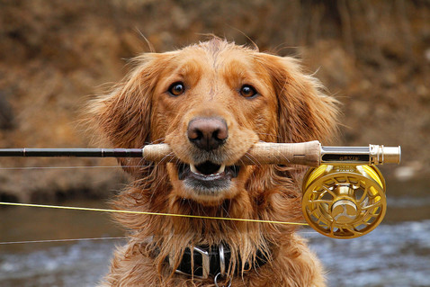 Fetch your fishing gear