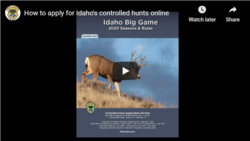 How to Apply for a CH online