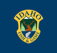 blue logo