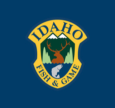 blue logo