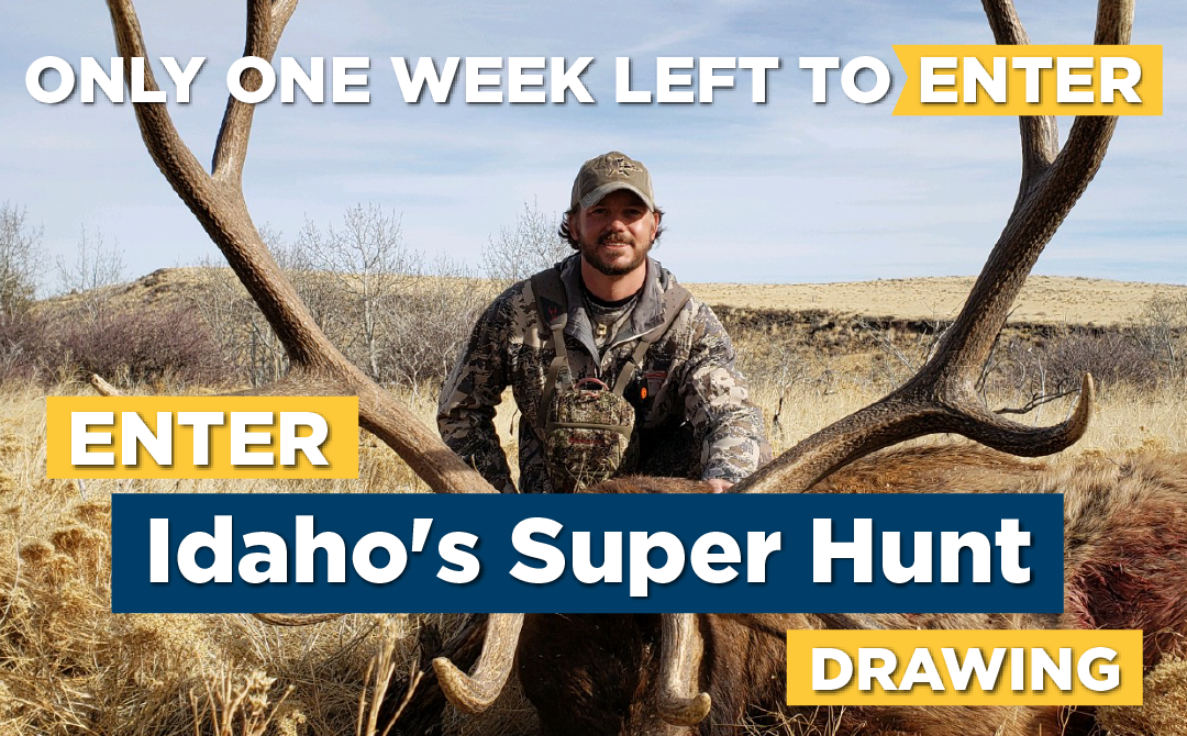 Super hunt banner - one week left