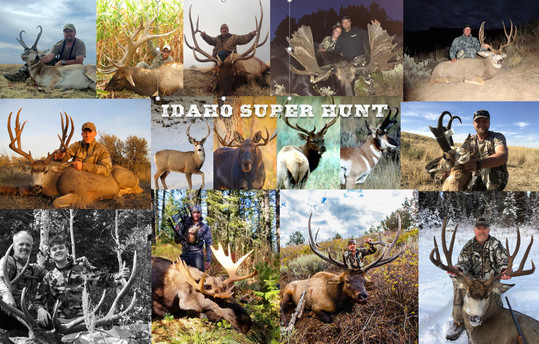 Super Hunt Collage 3