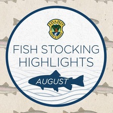 August Fish Stocking