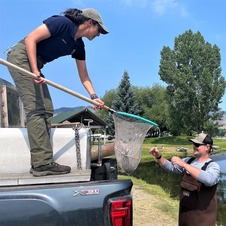 kids creek fish stocking