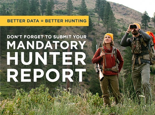 mandatory hunter report mhr