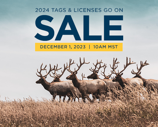 Attention Nonresident Hunters   Nonresident Sale 2024 Original 