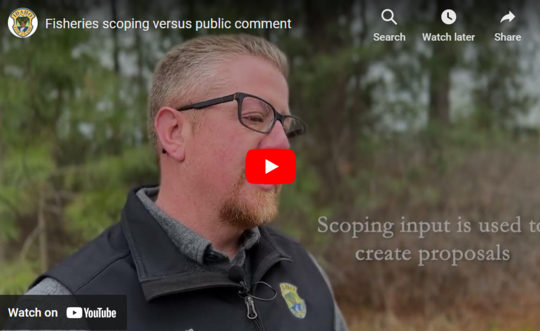 Scoping vs. Public Comment