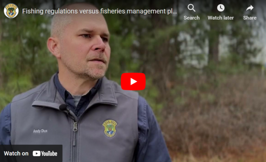 Regulations vs. Management Plan