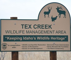 Tex Creek 