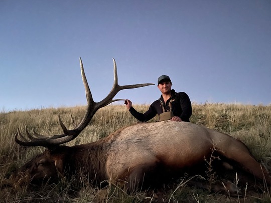 Sorensen elk SH