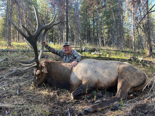 B Marler elk SH