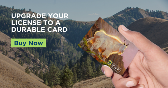 Goat hard card Social 2025