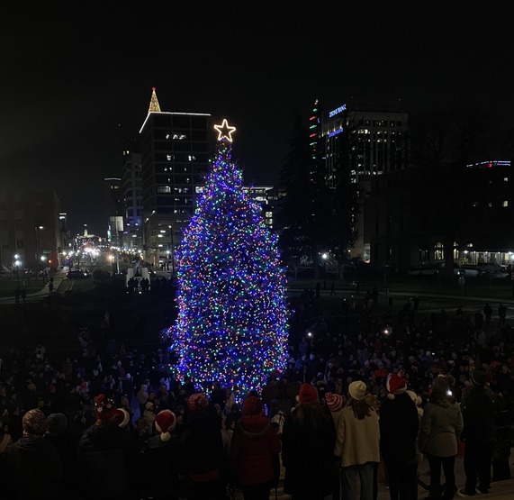 Idaho Capitol Christmas Tree