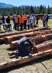 2025 Forestry Contest 3