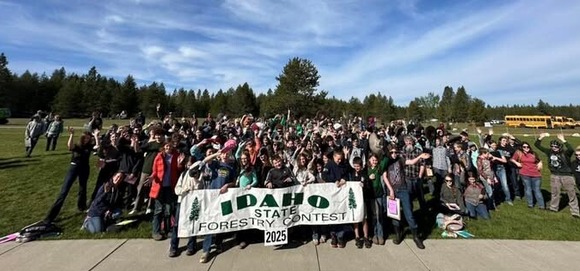 2025 Forest Contest 4