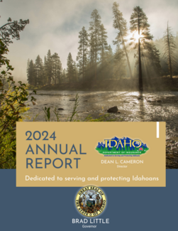 annual report