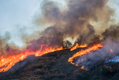 wildfire