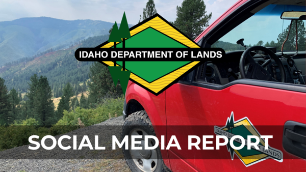 Social Media Report Main Bulletin Image