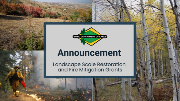 Forestry Grant Announcement
