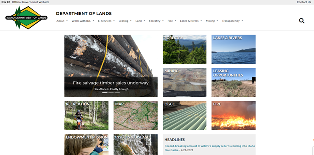 website template example