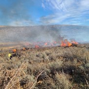 Juniper Controller Burn