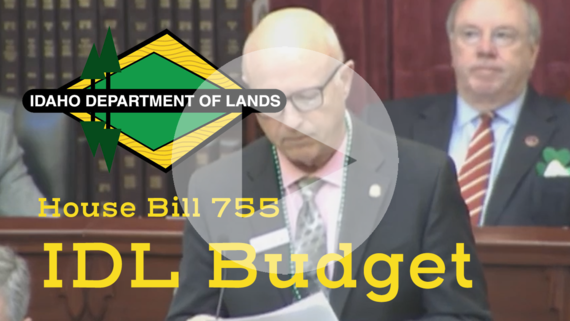 IDL Budget Bill Recap in the Senate