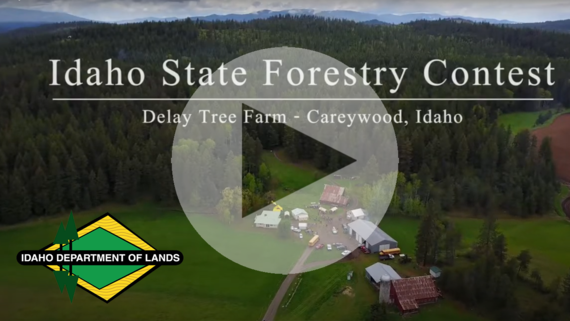 Forestry Contest Video