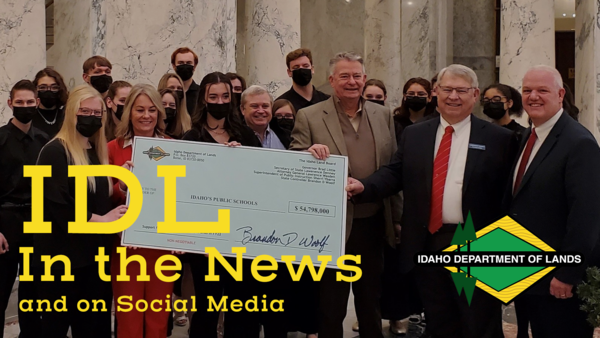 IDL in the News and on Social Media