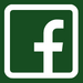 Facebook Icon - Dark Green