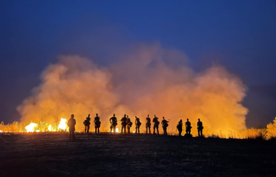 work in wildland fire