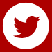 Twitter Icon - Safety Red